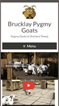 Mobile Screenshot of brucklaypygmygoats.co.uk
