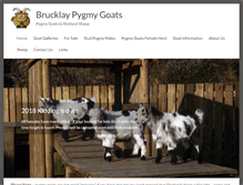 Tablet Screenshot of brucklaypygmygoats.co.uk